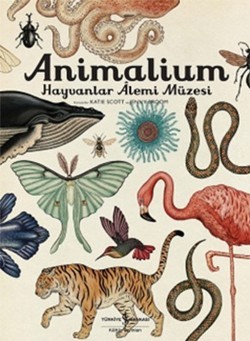 Animalium - Hayvanlar Alemi Müzesi