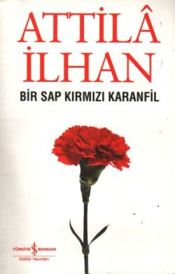 Bir Sap Kırmızı Karanfil