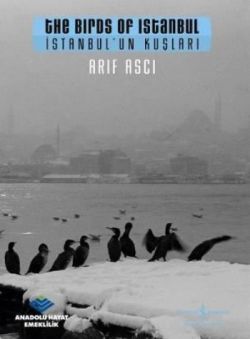 İstanbul’un Kuşları / The Birds ofm Istanbul