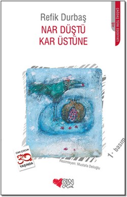 Nar Düştü Kar Üstüne