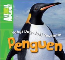 Vahşi Doğadaki Yaşamım: Penguen