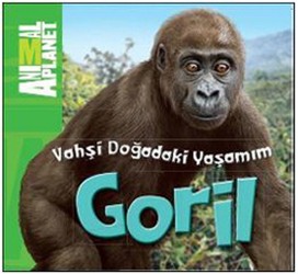 Vahşi Doğadaki Yaşamım: Goril