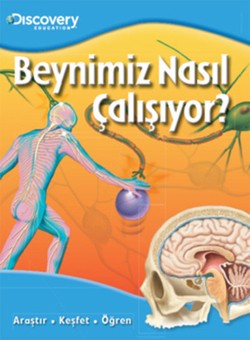 Discovery Education - Beynimiz Nasıl Çalışıyor