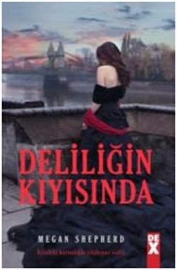 Deliliğin Kıyısında