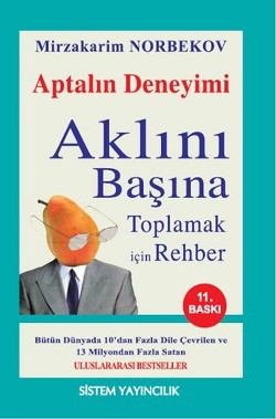 Aptalın Deneyimi - Aklını Başına Toplama Rehberi