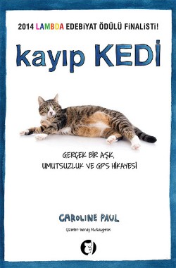 Kayıp Kedi