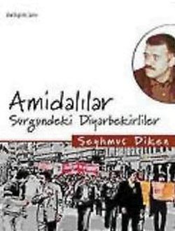 Amidalılar: Sürgündeki Diyarbekirliler