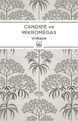 Candide ve Micromegas