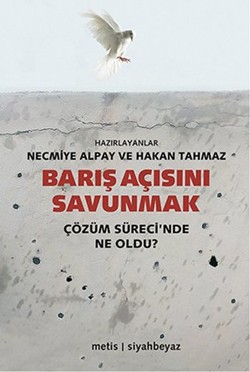 Barış Açısını Savunmak: Çözüm Sürecinde Ne Oldu?