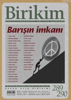 Birikim Sayı 289-290 (Mayıs-Haziran 2013)