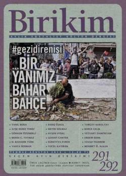 Birikim Sayı 291-292 (Temmuz-Ağustos 2013)