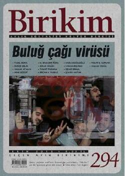 Birikim Sayı 294 (Ekim 2013)