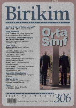 Birikim Sayı 306 (Ekim 2014 )