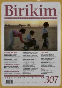 Birikim Sayı 307 (Kasım 2014)