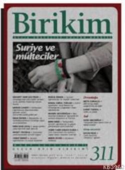 Birikim Sayı 311 (Mart 2015)