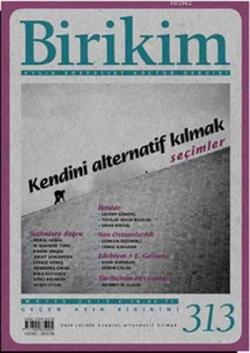 Birikim Sayı 313 (Mayıs 2015)