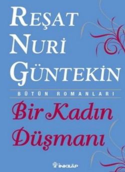 Bir Kadın Düşmanı