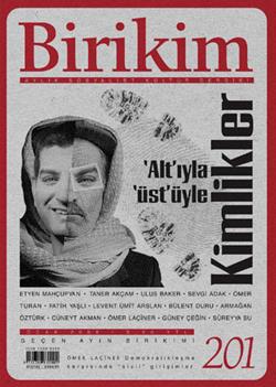 Birikim Sayı 201