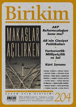 Birikim Sayı 204