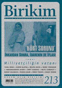 Birikim Sayı 213 (Ocak 2007)