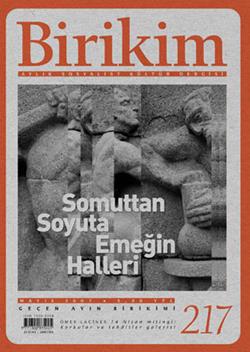 Birikim Sayı 217  (Mayıs 2007)