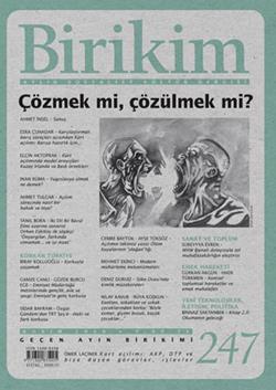 Birikim Sayı 247 (Kasım 2009)