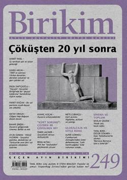 Birikim Sayı 249 (Ocak 2010)