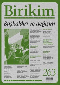 Birikim Sayı 263 (Mart 2011)