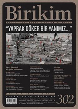 Birikim Sayı 302 (Haziran 2014)