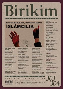 Birikim Sayı 303-304 (Temmuz-Ağustos 2014)