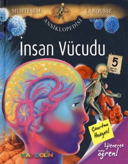 İnsan Vücudu