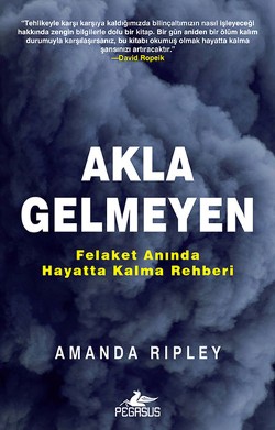 Akla Gelmeyen