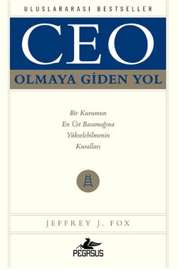 Ceo Olmaya Giden Yol