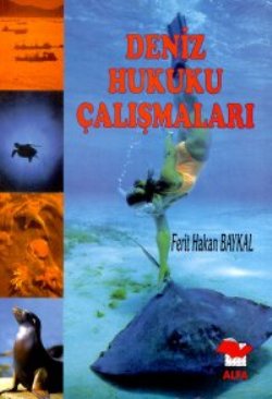 Deniz Hukuku Çalışmaları