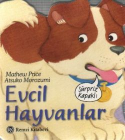 Evcil Hayvanlar