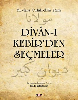 Divan-ı Kebir’den Seçmeler