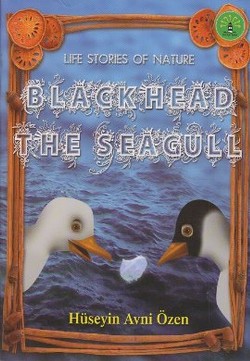 Black Head The Seagull