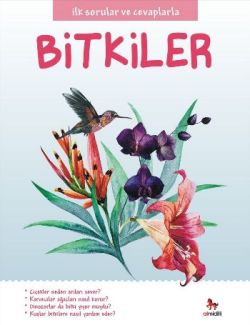 Bitkiler