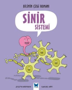 Sinir Sistemi