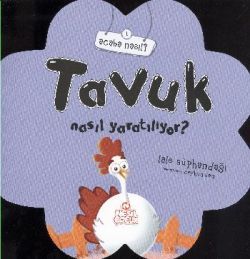 Tavuk Nasıl Yaratılıyor?