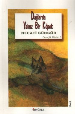 Dağlarda Yalnız Bir Köpek