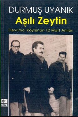 Aşılı Zeytin