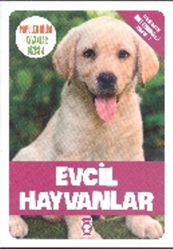 Evcil Hayvanlar