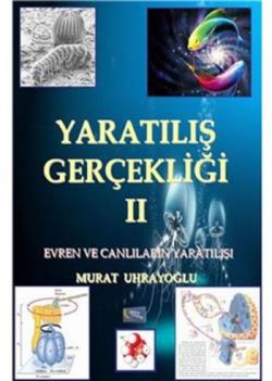 Yaratılış Gerçekliği 2