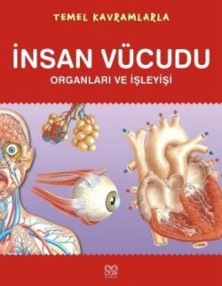 Temel Kavramlarla - İnsan Vücudu Organları ve İşleyişi