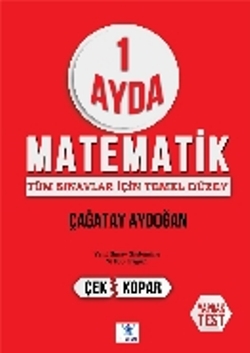 1 Ayda Matematik