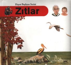 Hayat Başlıyor Serisi: Zıtlar