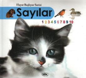 Hayat Başlıyor Serisi: Sayılar