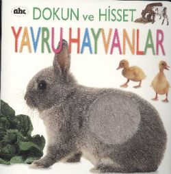 Yavru Hayvanlar