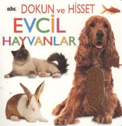 Evcil Hayvanlar